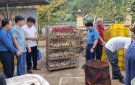 Triển khai dự án Liên kết sản xuất gà bản địa tại xã Nam Tiến