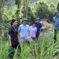 Đồng chí Hà Thị Hương – TUV, Bí thư Huyện ủy, Chủ tịch HĐND huyện kiểm tra tiến độ trồng cây gai xanh tại xã Nam Tiến